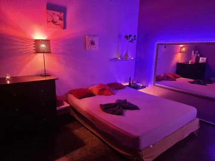 DREISPITZ CLUB – Maison Close Bâle – photo 2